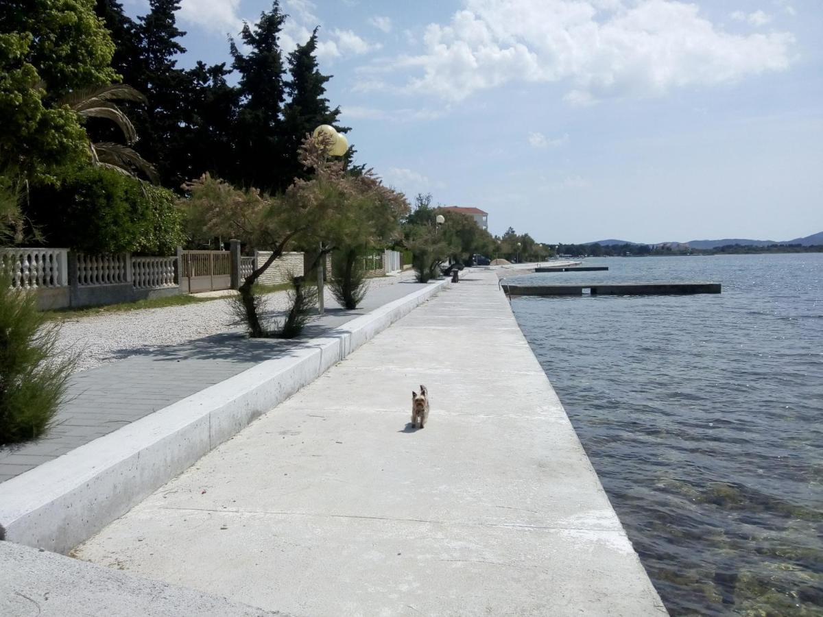 Apartments Franica Zadar Exterior photo